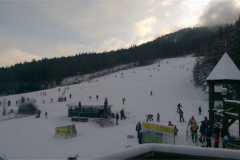 IMAG3154