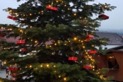 WhatsApp Image 2018-12-04 at 15.23.48(5)