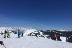 WhatsApp Image 2018-04-02 at 18.08.22(5)