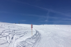 WhatsApp Image 2018-04-02 at 18.09.16(4)