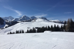 WhatsApp Image 2018-04-02 at 18.09.16(7)