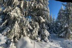 WhatsApp-Image-2020-01-28-at-18.19.461