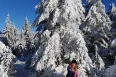 WhatsApp-Image-2020-01-28-at-18.19.532