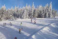 WhatsApp-Image-2020-01-28-at-18.19.581