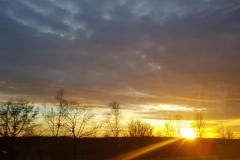 WhatsApp Image 2019-03-18 at 21.28.52 (1)