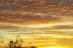 WhatsApp Image 2019-03-18 at 21.28.52 (2)