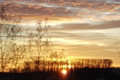 WhatsApp Image 2019-03-18 at 21.28.53 (1)