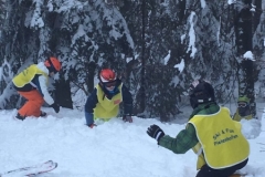 WhatsApp Image 2018-02-18 at 13.59.59