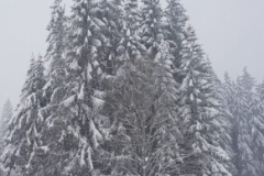 WhatsApp Image 2019-01-17 at 19.35.01 (1)