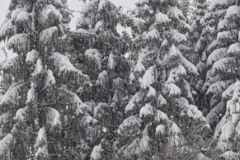 WhatsApp Image 2019-01-17 at 19.35.02 (1)