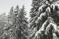 WhatsApp Image 2019-01-17 at 19.35.05 (1)